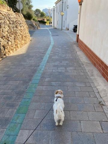 Altea Beachgate - Acceso Privado A La Playa エクステリア 写真